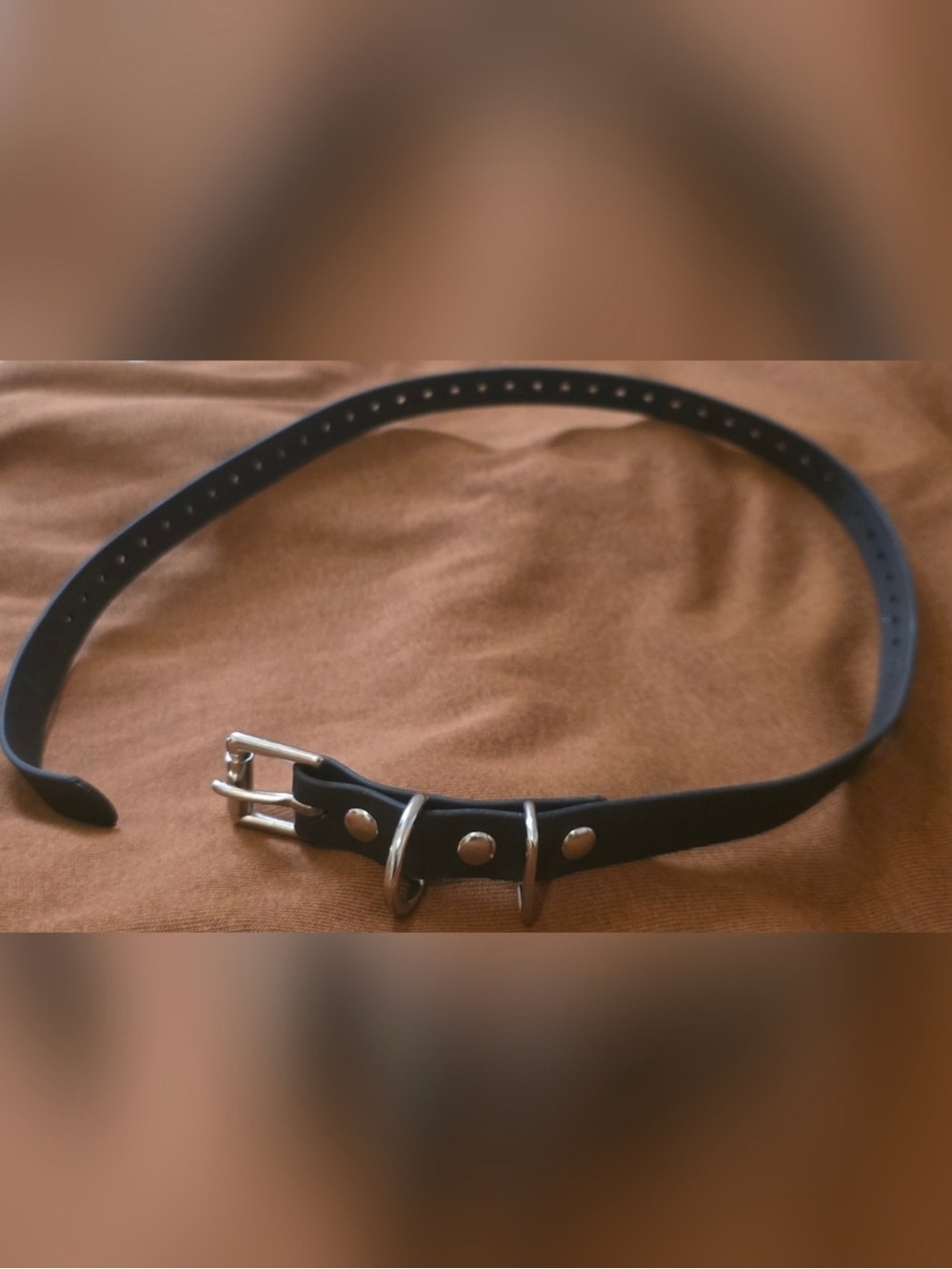 Collar Only for E-Collar - Picture 4 of 4